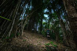 BIB: 
                            <button type="button" onclick="openModal(19395380)" class="btn btn-primary btn-sm float-right btn-popup" data-toggle="modal" data-target=".modal-high-quality">
                        <i class="fas fa-shopping-cart"></i> Add to Cart
                    </button>
                                            <button type="button" onclick="isThisMe(19395380, true)" class="btn btn-success btn-sm float-right btn-popup btn-isme hidden" data-toggle="tooltip" data-placement="bottom" title="นี่คือรูปของคุณใช่ไหม คลิกที่นี่เพื่อเอาเข้าอัลบั้ม">
                        <i class="fas fa-plus"></i> Add to album
                    </button>
                    <button type="button" onclick="isThisMe(19395380, false)" class="btn btn-warning btn-sm float-right btn-popup btn-isnotme hidden">
                        <i class="fas fa-ban"></i> Remove from album
                    </button>